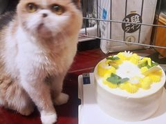 -茉川甜品MOCHUAN
