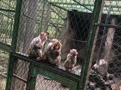 -藏龙百瀑风景区