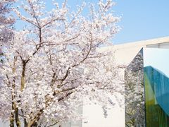 -龙美术馆(西岸馆)