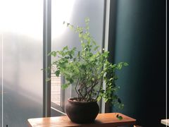 靠窗位-半山腰·云南菜(侨福芳草地店)