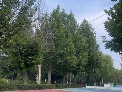 -青龙湖公园