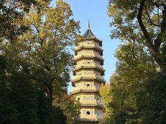 -灵谷景区