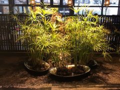 -古京·臻致料理(月湖店)