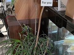 -seeu coffee(江滩店)