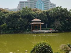 -黄埔荔枝公园