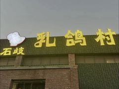 -石岐乳鸽村(南海第三分店)