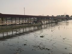-金龟岛渔村