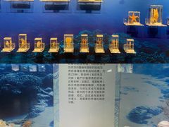 -温州博物馆