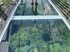 -客天下恐龙水晶玻璃桥