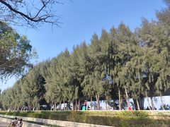 -宝安西湾红树林湿地公园