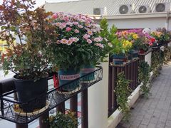 -耕渔小院·湖南鱼鲜(望城店)