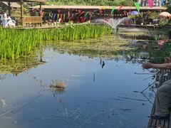 -同銮特种养殖场·龙虾垂钓