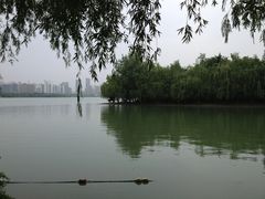 -天鹅湖体育公园