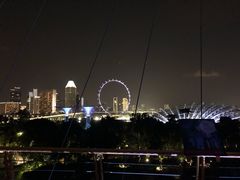 -新加坡摩天观景轮