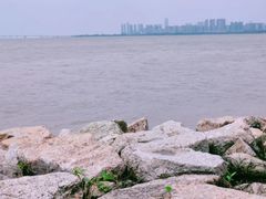 -深圳湾公园(南山区)