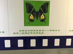 -上海昆虫博物馆