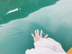 -广州市流溪河国家森林公园