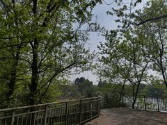 -凤凰沟景区