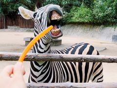 -泉州海丝野生动物世界