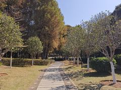 -厦门大学(思明校区)