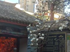-真庆观