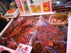 -札幌电视塔
