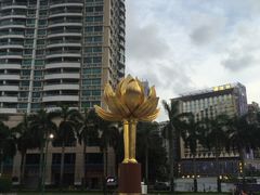 -金莲花广场