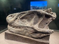 -自贡恐龙博物馆