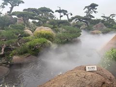 -罗红摄影艺术馆