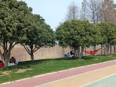 -贡湖湾湿地公园