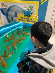 -小鸡哆哆故事屋·儿童乐园(嘉里城店)