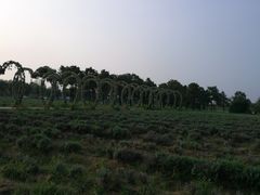 -东海森林温泉度假酒店