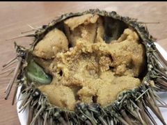 -海胆小馆(东北水饺·春柳店)