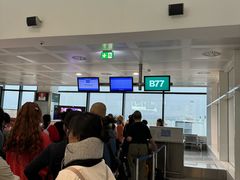 -米兰马尔彭萨国际机场