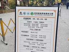 -西双版纳原始森林公园