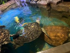 -多彩贵州城极地海洋世界