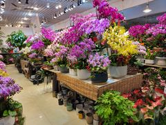 -双季花艺园艺市场(浦东店)