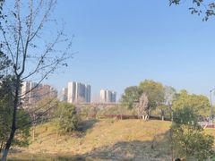 -八大山人梅湖景区