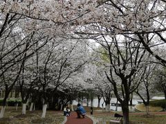 -江南大学(蠡湖校区)