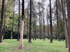 -成都南湖公园