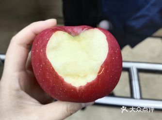 小时候可喜欢苹果了，还想着在老家种一棵苹果树