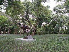 -深圳市体育中心体育馆主馆