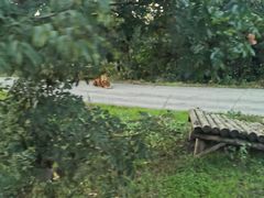 -西安秦岭野生动物园