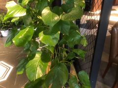 -盐帮食坊•小河帮川菜(四川师大店)