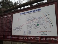 -少华山国家森林公园