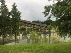 -眉山湿地公园(东坡区)