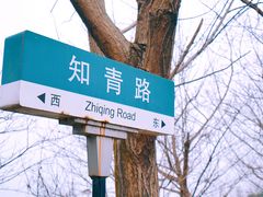 -同里国家湿地公园
