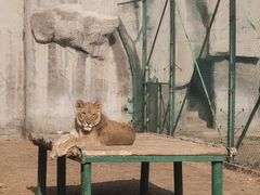 -郑州市动物园