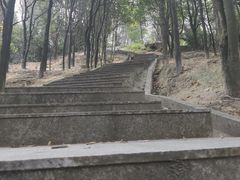 -火炉山森林公园