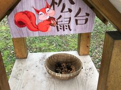 -福建鲤鱼洲酒店